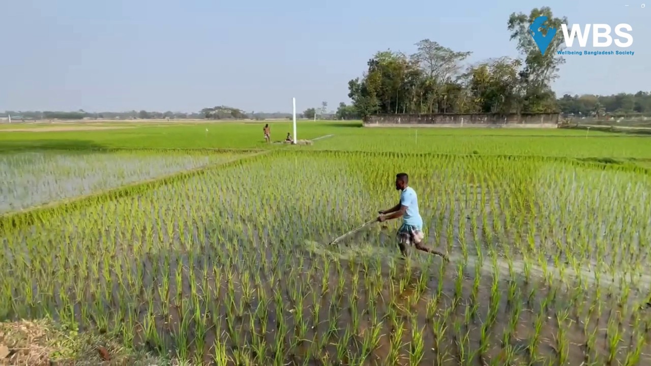 Irrigation Pump Project 2025 - Jafrabad,Sylhet