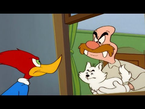 El perro prefiere a Wally que al Pájaro! | El Pájaro Loco