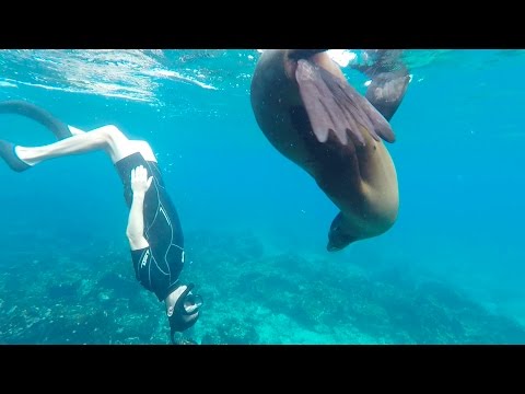 Cruise video 8