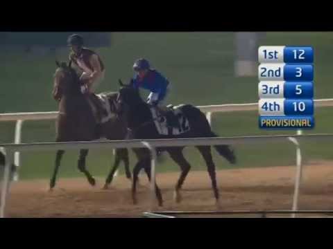 31.10.2014 Meydan(Dubai-UAE) 2.Race EGA Potlines Trophy - Handicap 1.400 m