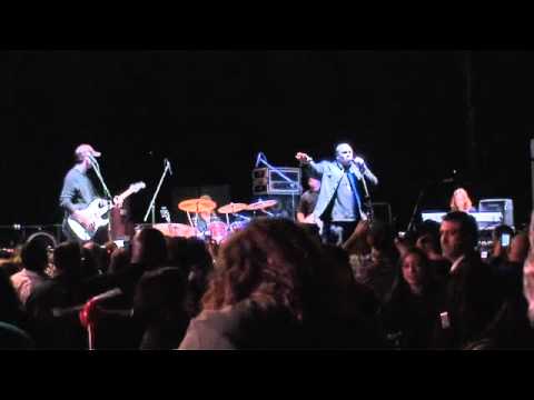 Mike Lynche Performing Eleanor Rigby Live