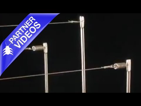  How to Install Bird Barrier's BirdWire Video 