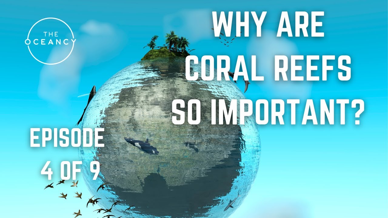 THE OCEANCY LEARNING - EPISODE 4 OF 9 - WHY ARE CORAL REEFS SO IMPORTANT?