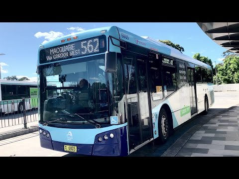2190ST Transport Vlog 1086: [Transdev NSW Region 12] Volvo B8RLE (Bustech) (6805 562) (ZF Ecolife)