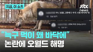 늑구 먹이 왜 밥그릇 아닌 바닥에?…뜬금 논란에 오월드 해명｜지금 이 쇼츠