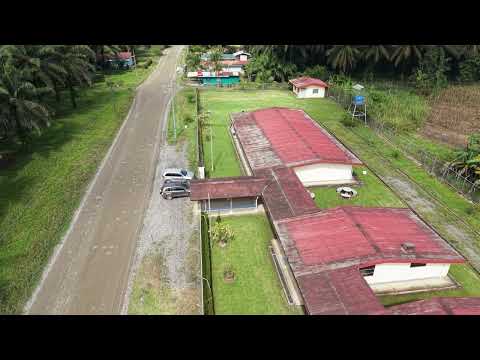 La Estrella Conte Golfito Puntarenas