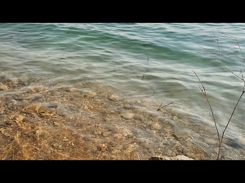 Peacful Lake Sounds In Nature | Relax and Focus | Soothing Waves Crashing On Beach