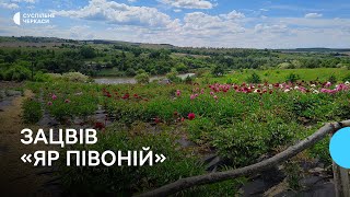 � ��������� ��� ������ ����� 600 ����� ������