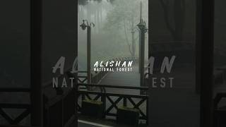 The Trails of Alishan