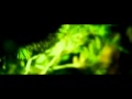 Torche - Healer [OFFICIAL VIDEO]