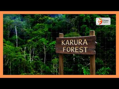 Mashirika ya Green belt movement yataka ujenzi wa makao ya NYS Karura kusitishwe mara moja