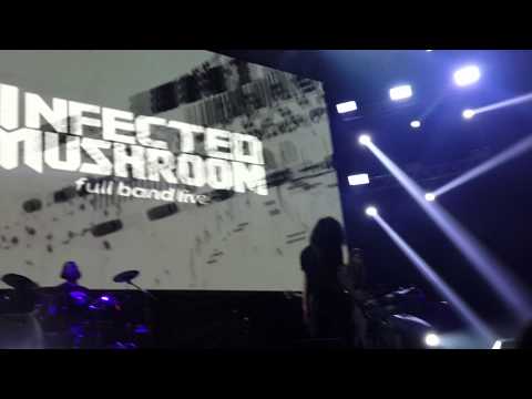 Infected Mushroom -  Cover Beastie Boys - Sabotage @Buenos Aires Psy 7.12.14