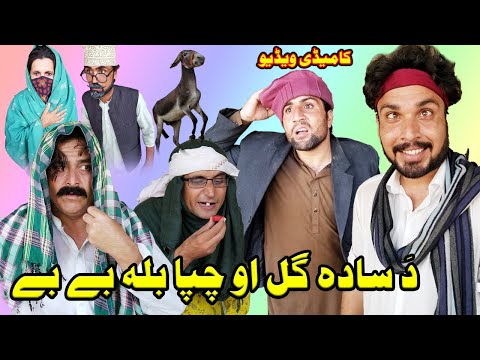 Da Sada Gul Ou Chapa Bala BeBe  Pashto Funny Video By Chapa Vines 2020