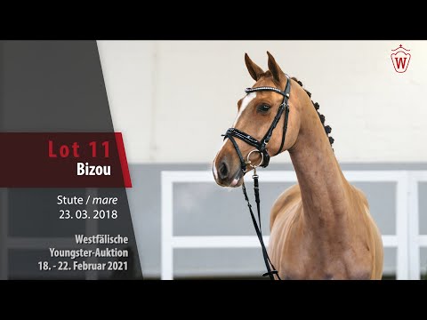 Youngster Auktion 18. - 22. Februar 2021 Lot 11 Bizou Stute v. Brantzau -   Casall