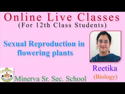 12th Class: Sexual Reproduction in flowering plants (Biology) :Reetika Ma'am | Lecture 1