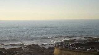 preview picture of video 'whales_bantry_bay'