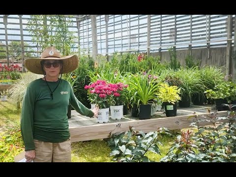 Behind the Scenes: How Plants Get from Our Growers to Your Yard