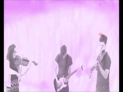 Stems - Shadows