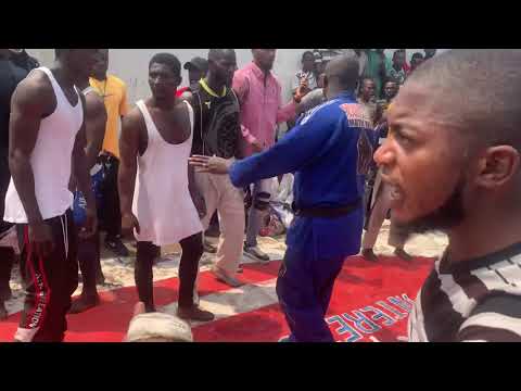 Mtr tigre vs mtr helico