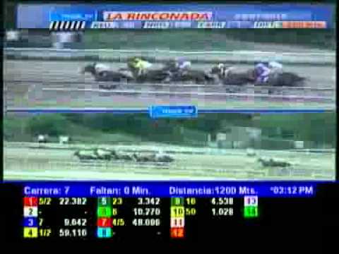 7MA CARRERA DOM 29 JULIO LA RINCONADA AUDIOHIPISMO