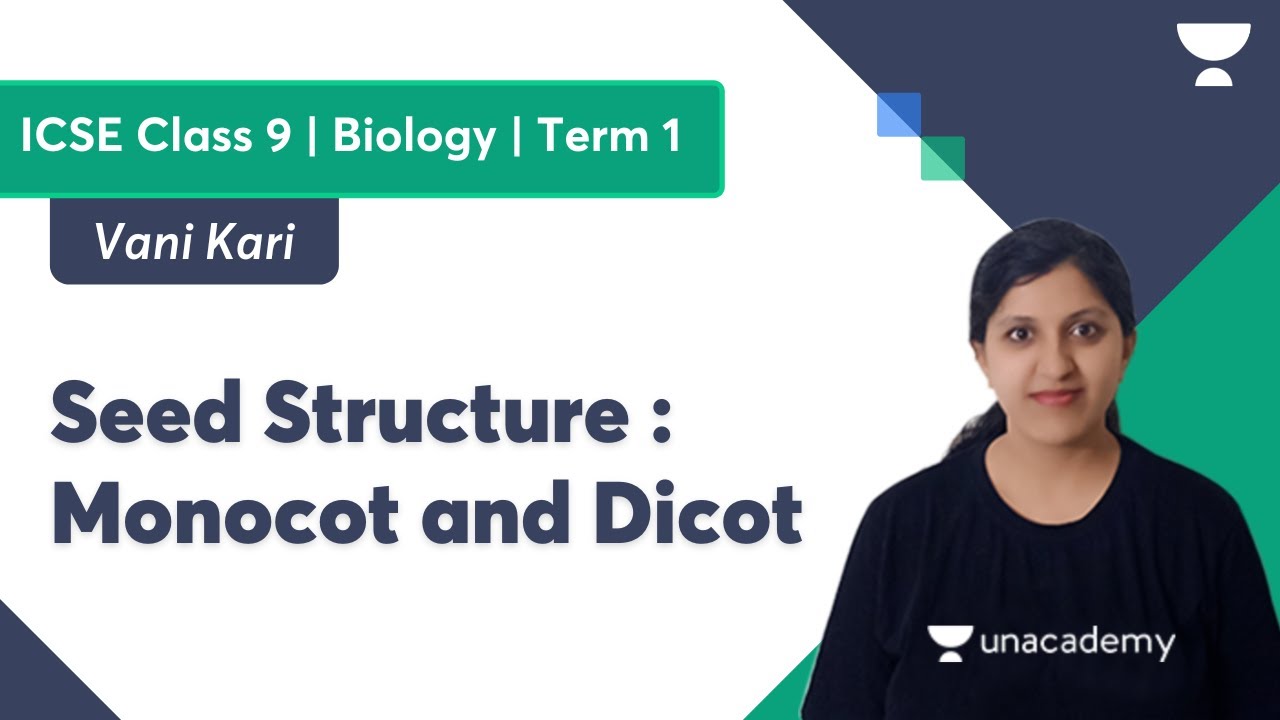 Seed Structure | Monocot and Dicot | Biology | ICSE Class 9 Term 1 | Vani Kari