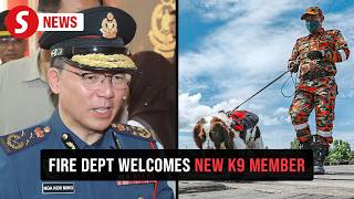 Download lagu Bomba welcomes latest K9 unit member 'Brave' mp3