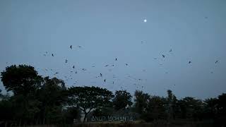 Download lagu Her eyes her curls her smile wonderful 😊 mp3