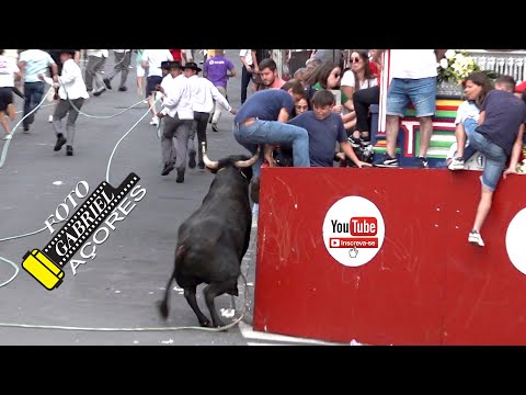 Tourada à Corda Ribeirinha 19- 07- 2025 Ganadeiro R.B.