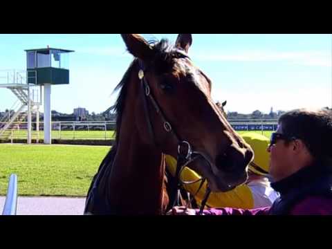 Belmont Park, 13/07/2016 - Race 1 - SWEET ORA - Jason Miller