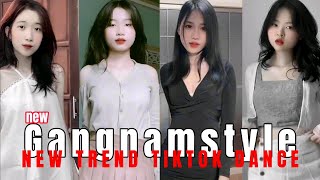 Gangnamstyle bibo remix | new tiktok dance challenge | TikTok Compilation VN