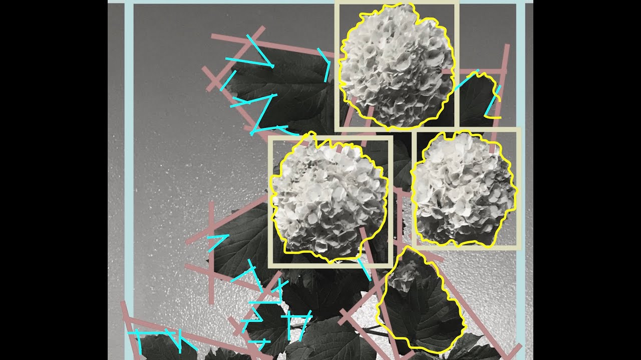 Organic form (Biomorphic)