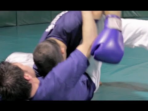 The First LIVE BBS1 Test from a Pure Gracie University Student