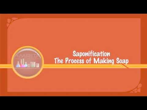 saponification - the process of making soap