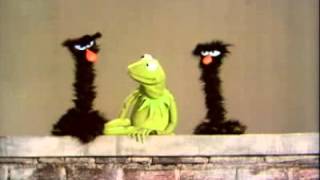 Classic Sesame Street   Kermit Explains Short and 