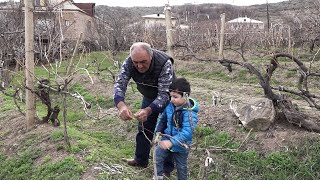 Նոր Եդեսիա և Ուջան գյուղեր