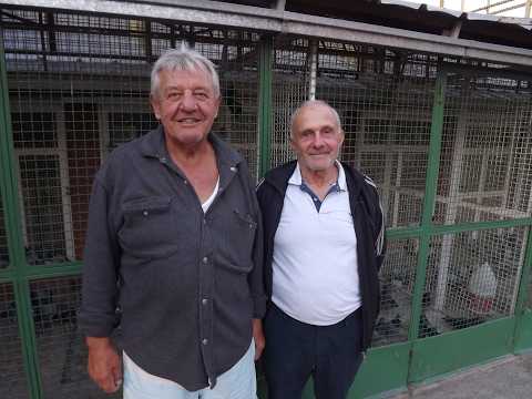 Golubarske priče Dušan Karapandžić i Slaviša Marković