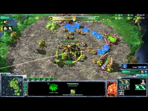 EGIdra Vs HasuObs ZvP G1 Bo3