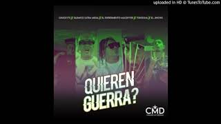 Quieren Guerra? Lyrics English Translation