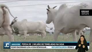 Miniatura do vídeo