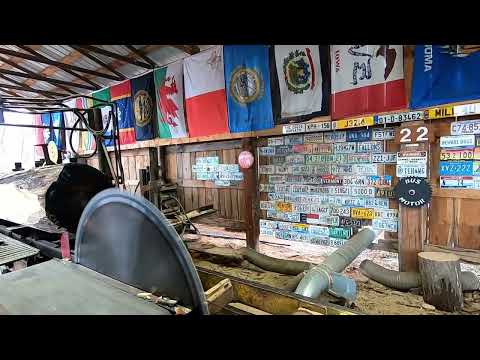 sawing a monster cherry log # 389