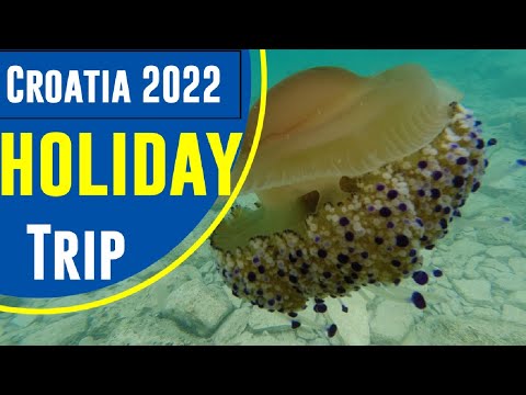 Croatia 2022 Sunny Brioni Camping Family Trip 👪