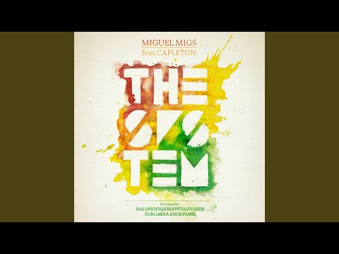 The System (Petalpusher Salted Disco Dub)