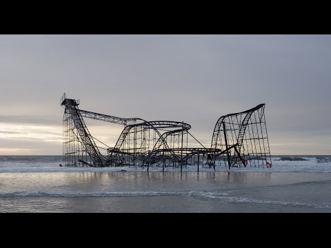 ヤマネ:最後の隠れ家としての都市