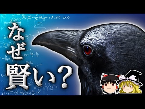 カラスがなぜそれほど重要なのか