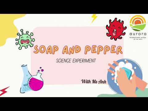 Science 'Pepper & Soap Experiment' with Ms. Anh