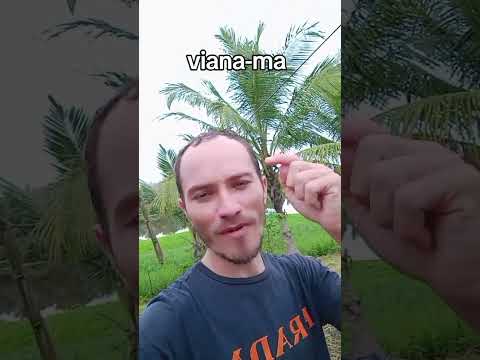 Viana Maranhão