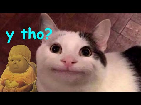 You Guys Made Me Do This...