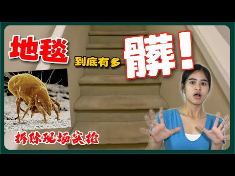 夏天地毯