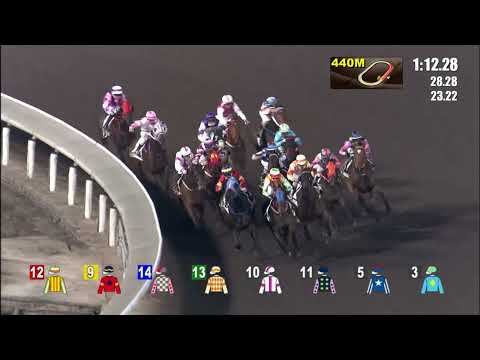 29/12/2021 (293) Run Des Run - R Maia