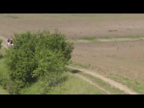 Evadarile si regruparile de la aeroport